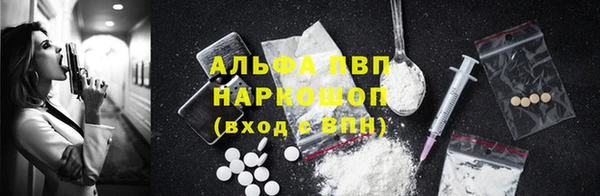 ПСИЛОЦИБИНОВЫЕ ГРИБЫ Белоозёрский