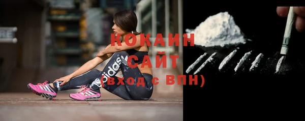ПСИЛОЦИБИНОВЫЕ ГРИБЫ Белоозёрский