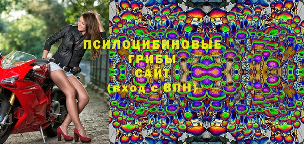ПСИЛОЦИБИНОВЫЕ ГРИБЫ Белоозёрский