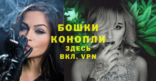 ПСИЛОЦИБИНОВЫЕ ГРИБЫ Белоозёрский