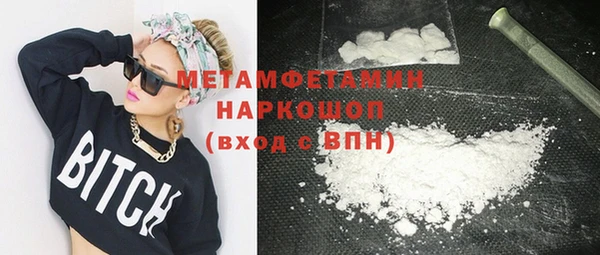 индика Елизово
