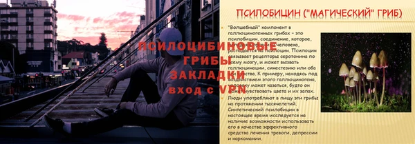 ПСИЛОЦИБИНОВЫЕ ГРИБЫ Белоозёрский