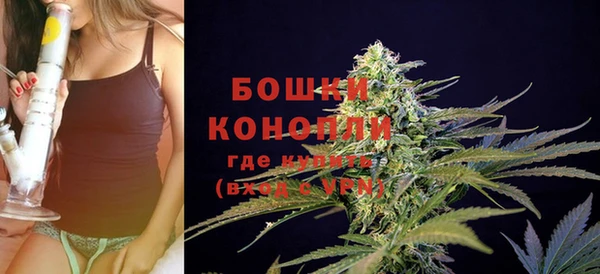 ПСИЛОЦИБИНОВЫЕ ГРИБЫ Белоозёрский