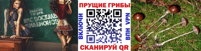 Галлюциногенные грибы GOLDEN TEACHER  гидра вход  Оха 
